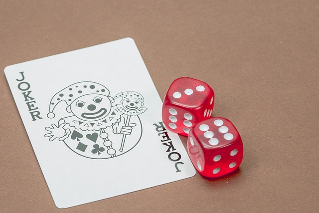 Casino Licensing Guide
